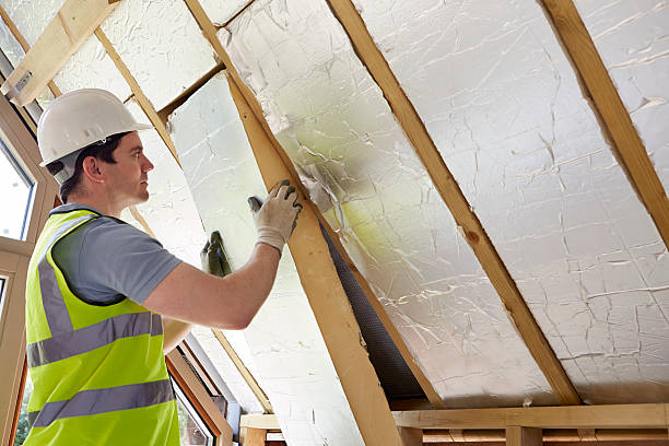 Best Insulation Installation Services in Tell City, IN